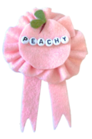Peachy Award